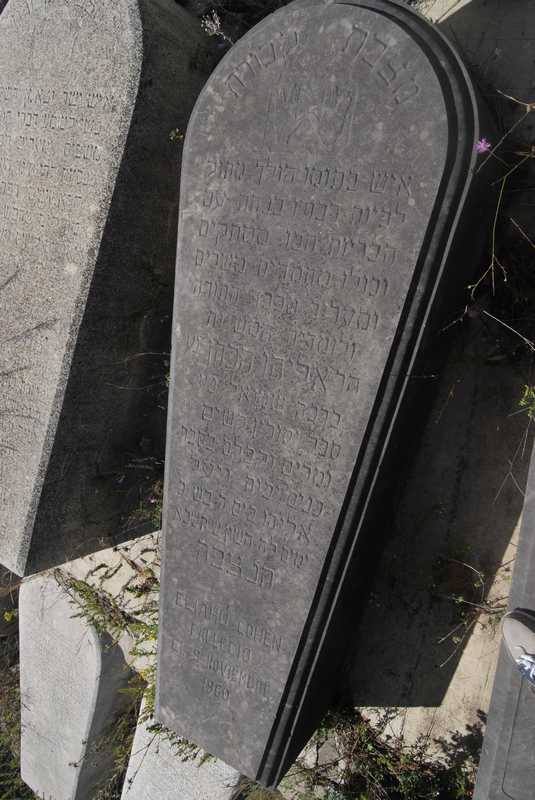 מצבת cohen eliahu