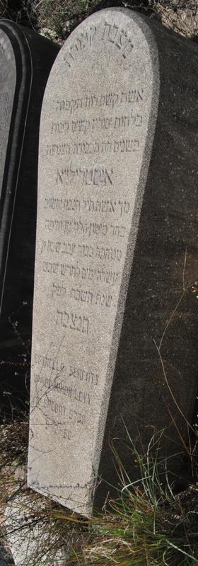 Stèle de levy estrella
