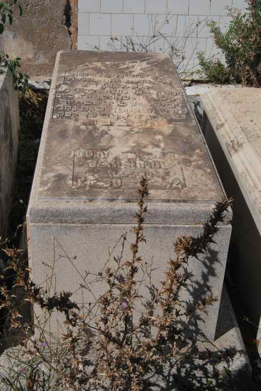 מצבת serfaty coty