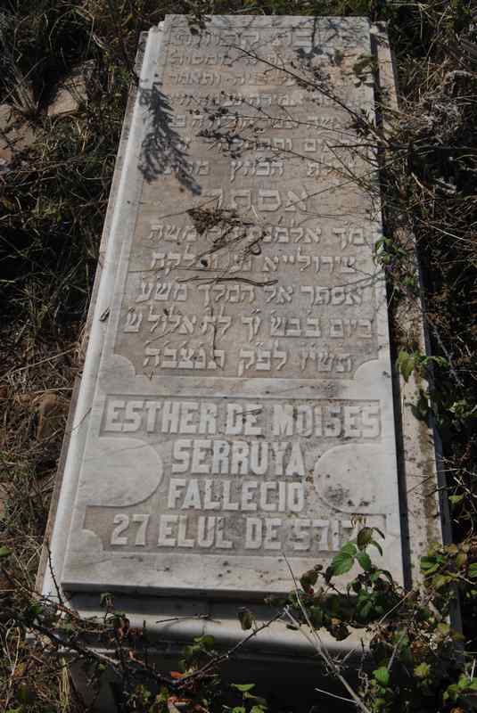 serruya esther fejfája
