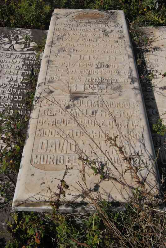Stèle de amram david