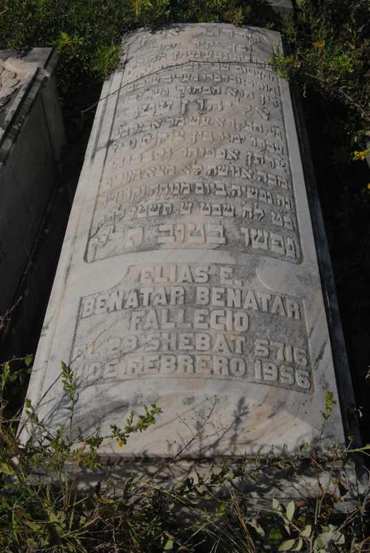 Estela de benatar elias