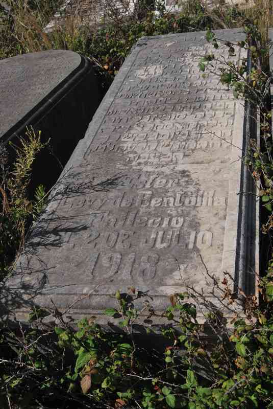 Estela de bentolila esther