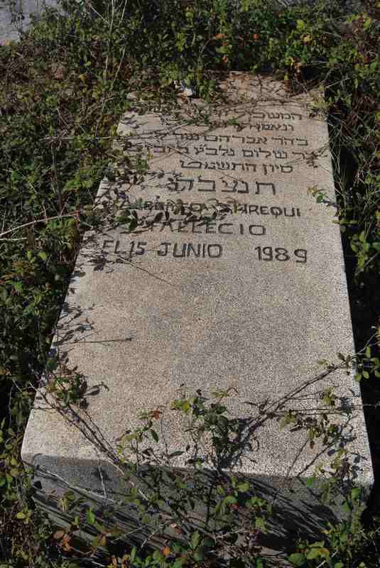 מצבת shrequi alberto