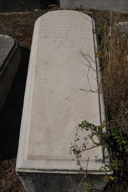 מצבת cohen amram