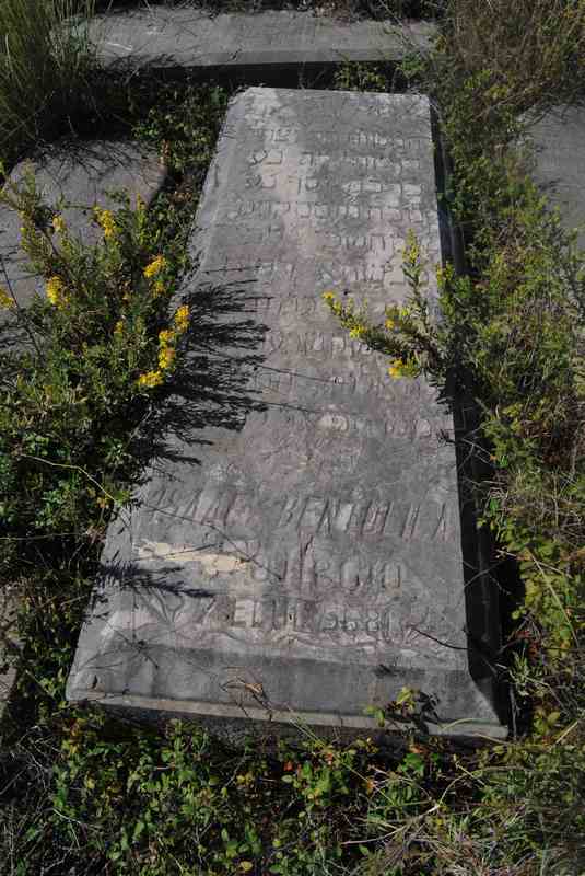 Estela de bentolila isaac