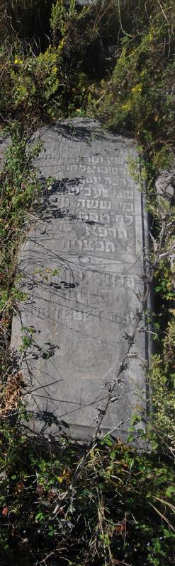 sotto samuel fejfája
