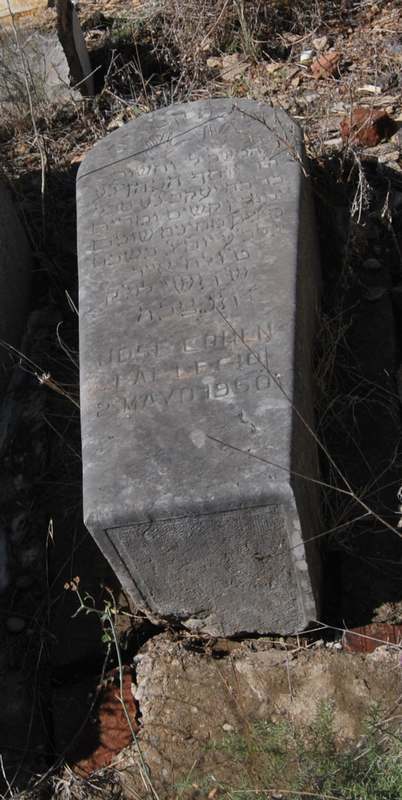 Grabstein von cohen jose