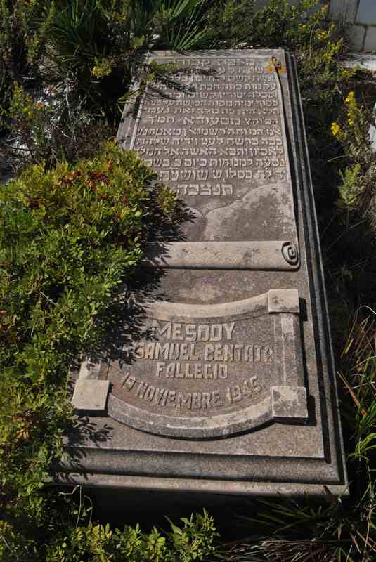 Estela de bentata mesody