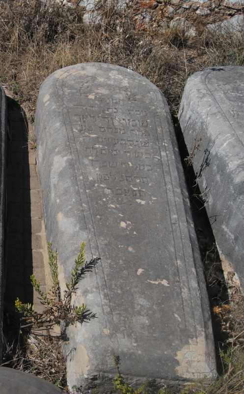 Estela de bendelac samuel