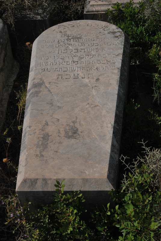 Estela de jalfon moises