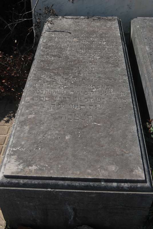 Estela de bendahan paloma