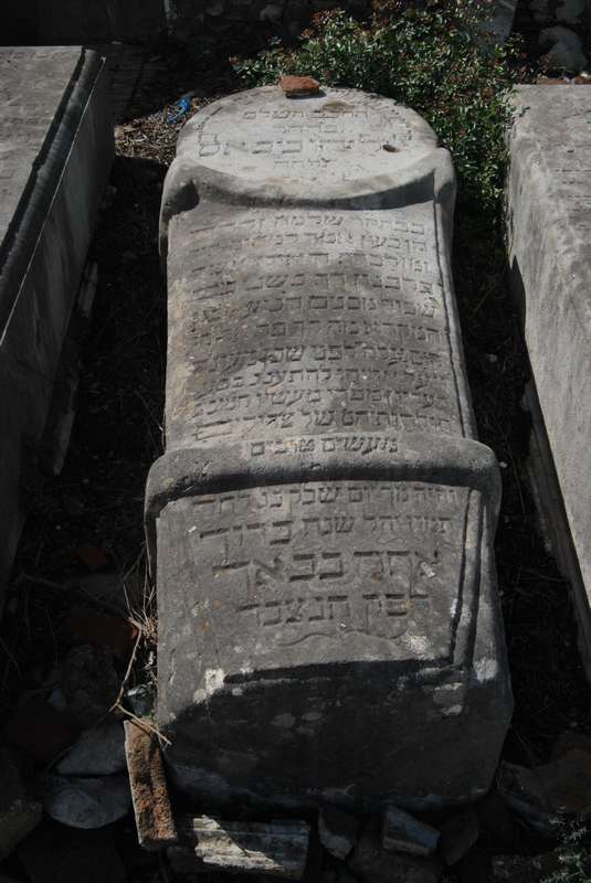 Estela de bibas eliyahu