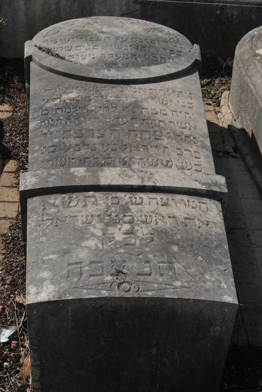 מצבת serfaty isaac