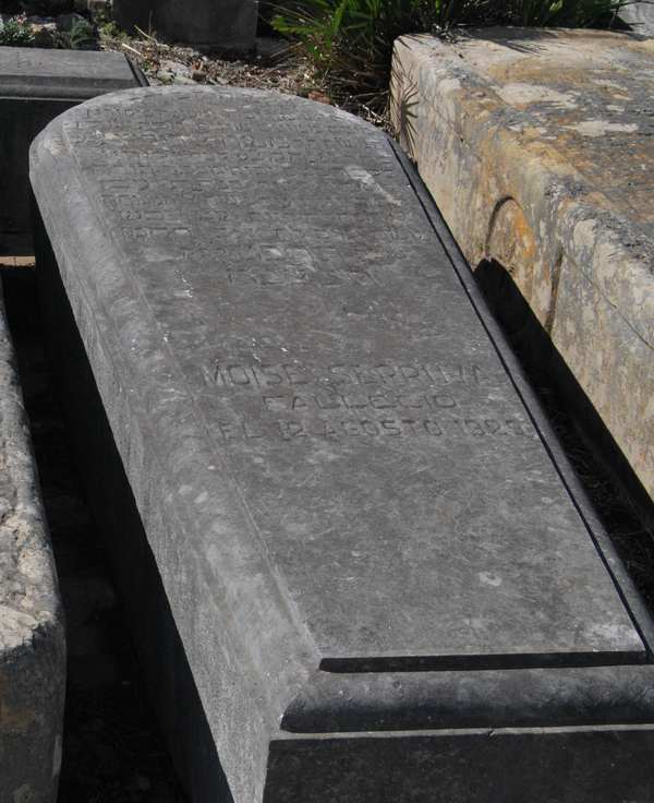 serruya moses fejfája