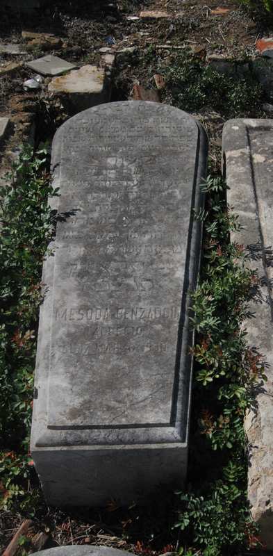 Estela de benzadon mesoda