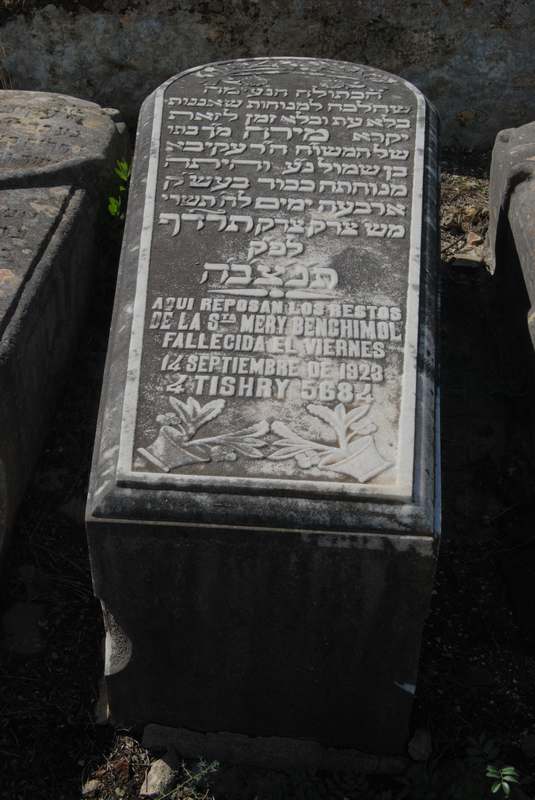 Estela de benchimol mery