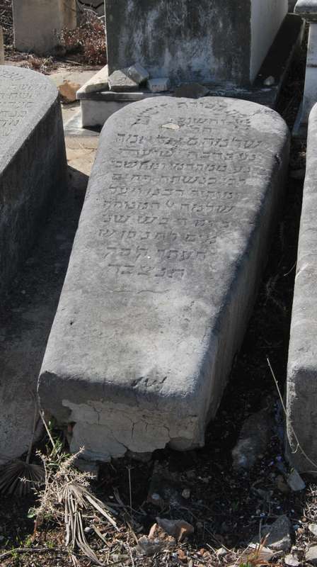 מצבת salama salomon