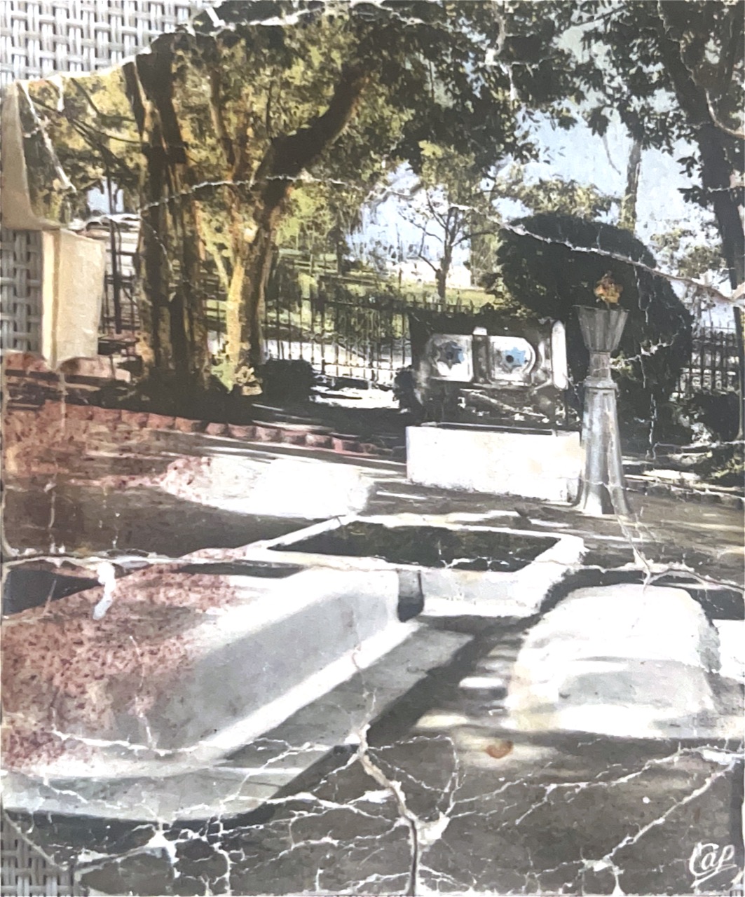 Tlemcen — cimetière israélite (carte postale ancienne, Éditions CAP)