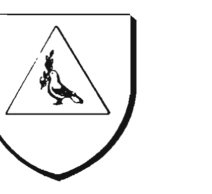 Blason de la famille Ascoli — écu au triangle équilatéral chargé d'une colombe tenant un rameau d'olivier (Ancône, Pesaro, Trieste).